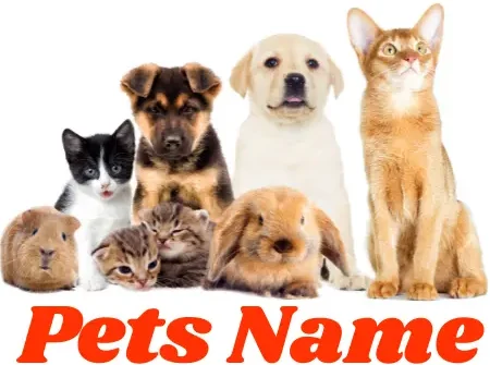 Pets Names